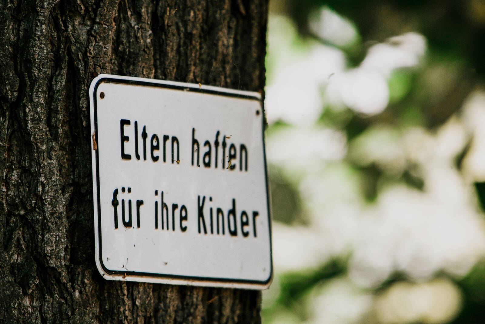 „Eltern haften für Ihre Kinder!“ Ist das wirklich wahr? Privathaftpflichtversicherung Magazinartikel Wahler Versicherungsmakler